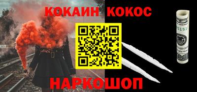 крисы Новокубанск