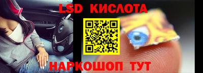 крисы Новокубанск