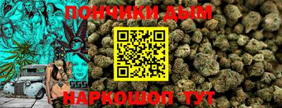 крисы Новокубанск