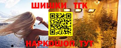 спиды Новодвинск