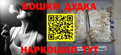 крисы Новокубанск
